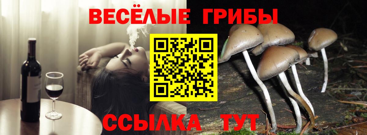 дарнет шоп  Псилоцибиновые грибы Magic Shrooms  Ростов-на-Дону  Вход с VPN  Галлюциногенные грибы ЛСД 